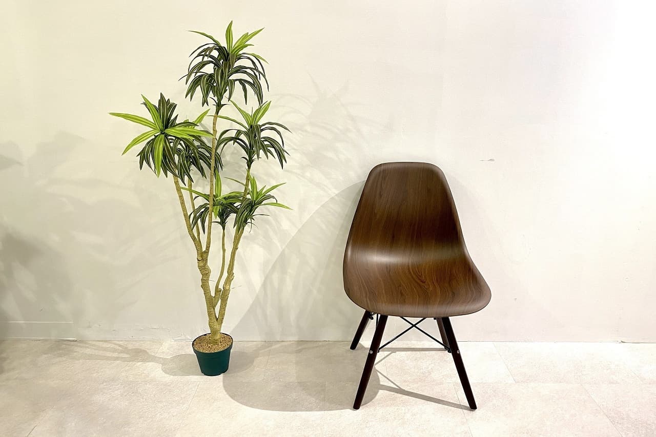人工観葉植物,渋谷セレクトスペース